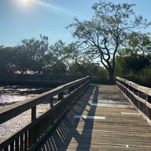 Meet your Posher, Lina